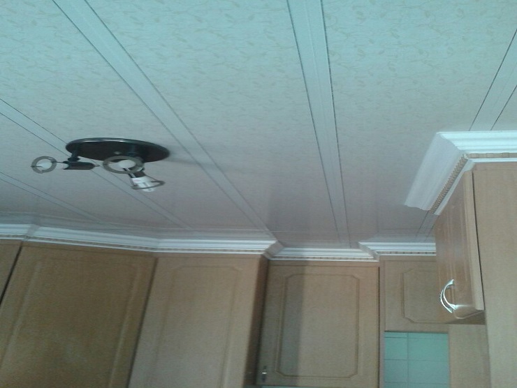 Makua Services Ceiling