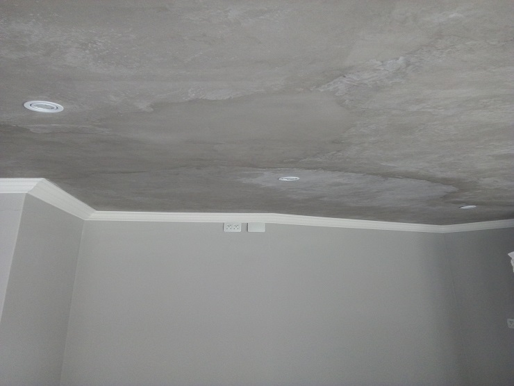 Makua Services Ceiling